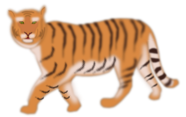 Tigre8